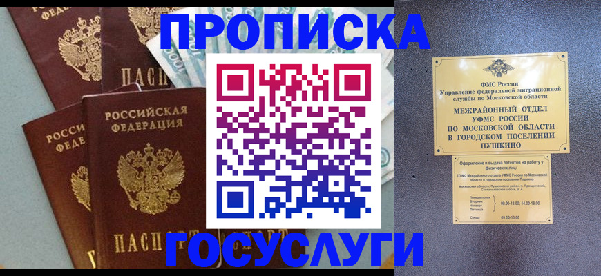 прописка гарантия в Светлогорске