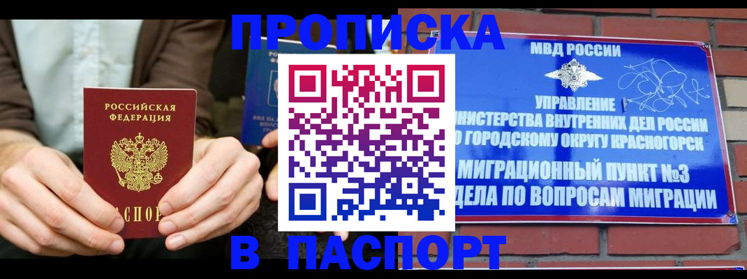 где прописаться в Светлогорске